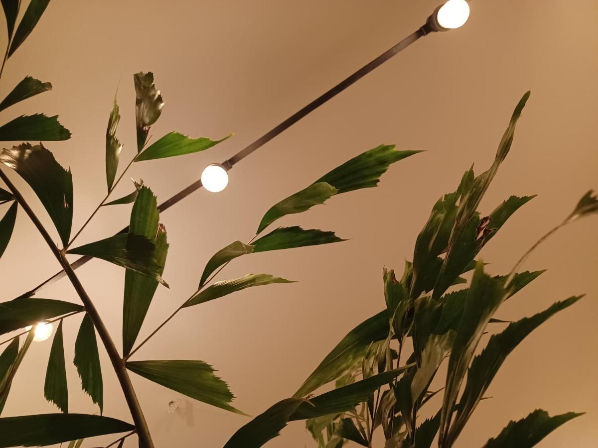 海牙75M2 Indoor Glamping Scheveningen公寓 外观 照片