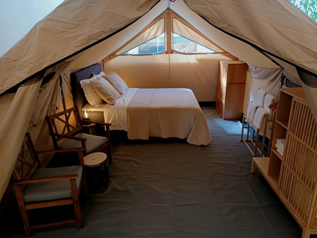 海牙75M2 Indoor Glamping Scheveningen公寓 外观 照片